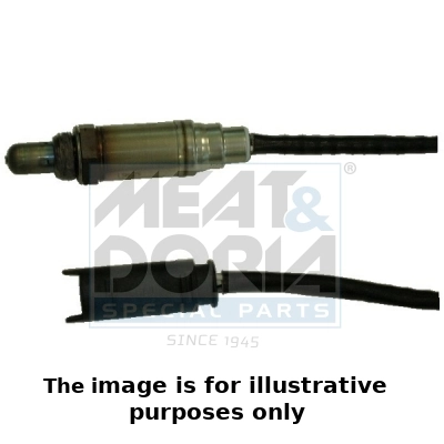 Oxygen Sensor